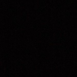 Meet your Posher, Samuel